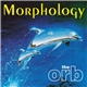 The Orb - Morphology